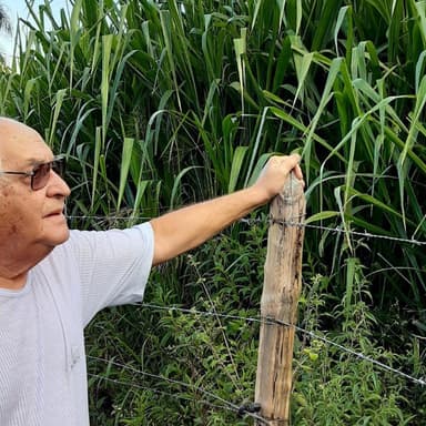 Fazenda Marinho