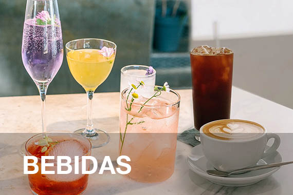 Bebidas