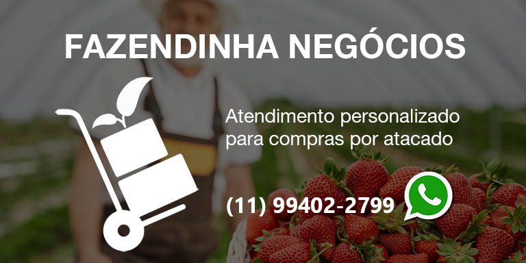 Majucau Chocolate Brasileiro