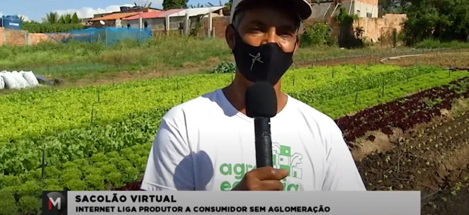 Fazendinha em Casa no Jornal Minas e Jornal da Alterosa – Do campo à mesa